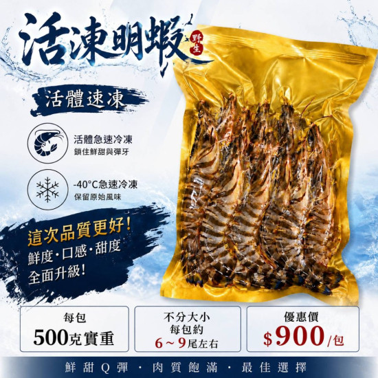 活凍明蝦