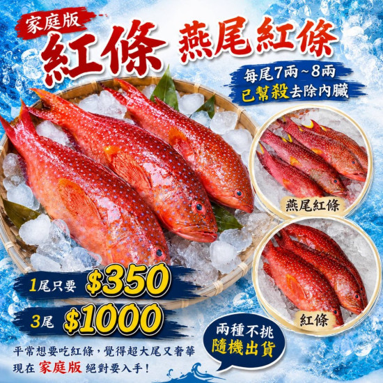 家庭版紅條