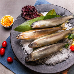 7尾裝母香魚