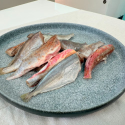 船凍小海魚