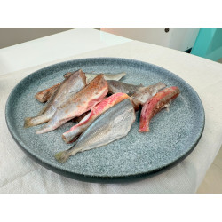 日曬魚乾