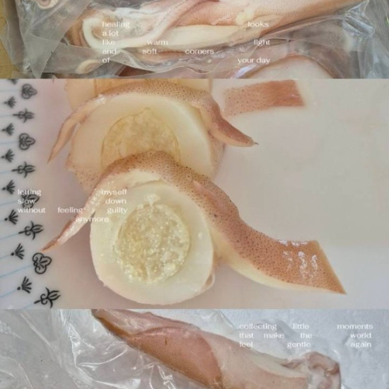 澎湖帶卵冰卷
