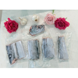 白帶魚