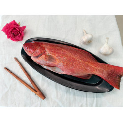 澎湖紅條