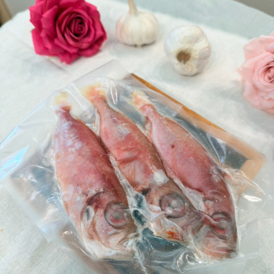 炎光魚